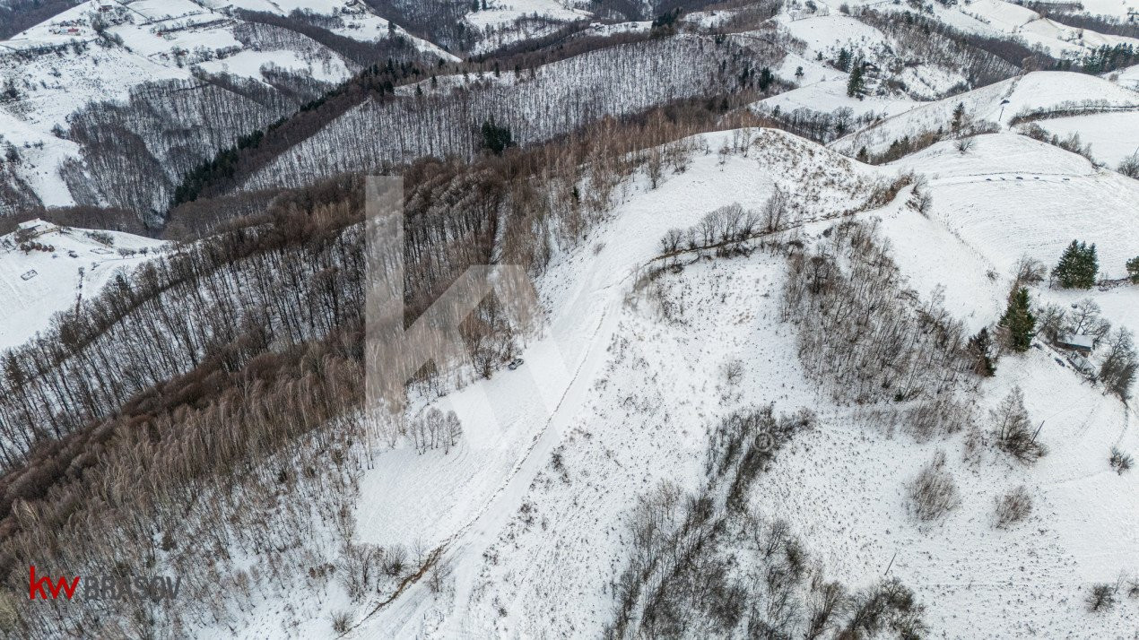 Teren Extravilan Poiana Marului  include varful Cetatuia 942m, zona Vulcanita